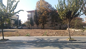 AÇIK YEŞİL PROJESİ İLE BOŞ ARSALAR DEĞERLENECEK
