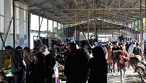CUMAYERİ'NDE BİT PAZARI KURULDU