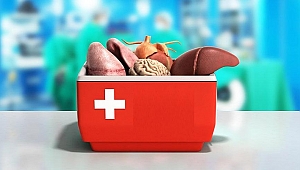 ORGAN NAKLİNDE CENAZE BÜTÜNLÜĞÜ BOZULUYOR MU?