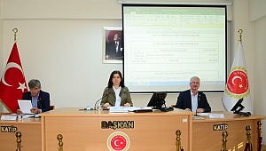 ÖZEL İDARE 2020 BÜTÇESİ BELLİ OLDU