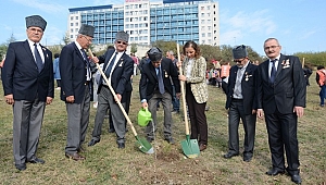 ÜNİVERSİTEDE FİDAN DİKTİ