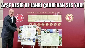 DÜZCE'Yİ YİNE MAHMUT TANAL SAVUNDU