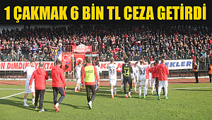 BUNU YAPAN DÜZCESPOR TARAFTARI DEĞİLDİR!