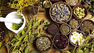 DÜZCE ALTERNATİF TIBBIN MERKEZİ OLACAK