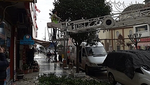 DÜZCE'DE BUDAMA ZAMANI