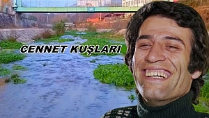 ÇİLİMLİ'DE 'KEMAL SUNAL' DOLANDIRICILIĞI