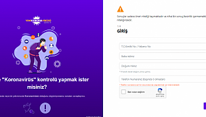 İNTERNETTEN KORONA TESTİ