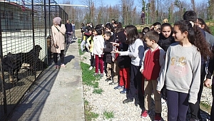 ÖĞRENCİLERDEN SOKAK HAYVANLARINA ZİYARET