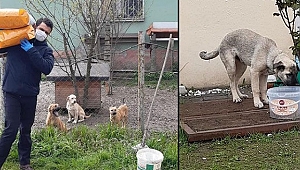 SOKAK HAYVANLARI UNUTULMADI
