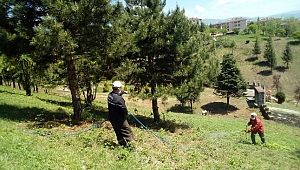 BAHÇEŞEHİR'E BAKIM