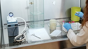 ÜNİVERSİTEDE MASKE GÜVENİRLİK TESTİ