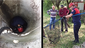 YAVRU TİLKİYİ KURTARMA OPERASYONU
