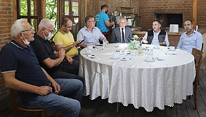 DÜZCE'NİN İKİ ÜRÜNÜ: FINDIK VE ORMAN