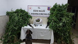 KURTSUYU'NDA UYUŞTURUCU OPERASYONU