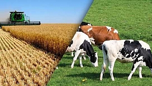 2. TARIM VE SANAYİ FUARI 1 EKİM'DE KAPILARINI AÇIYOR