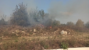 ANIZ YANGINLARINA DİKKAT
