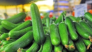 SALATALIK ZAM ŞAMPİYONU OLDU