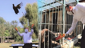 VALİ SÜLÜN SALDI, AYI BESLEDİ