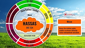 DÜZCE'DE HAVA KİRLİLİĞİ ARTIYOR