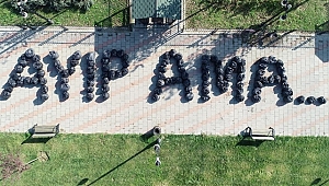 AYIP AMA