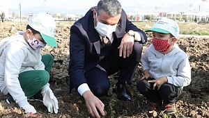 GELECEĞE NEFES: DÜZCE'DE 59 BİN 350 FİDAN DİKİLDİ