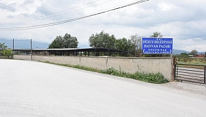HAYVAN PAZARI VE MEZBAHA İHALEYE ÇIKIYOR