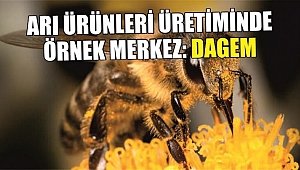 KANSER, BEL AĞRISI TEDAVİSİNDE ARI ZEHRİNİN ÖNEMİ