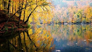 YEDİGÖLLER İÇİN ÖNEMLİ ARAŞTIRMALAR YAPILACAK