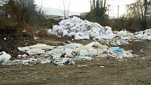 DÜZCE BELEDİYESİ, ÇEVREYİ KORUMAKTA SINIFTA KALDI!