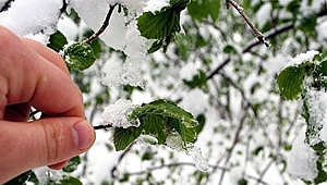 METEOROLOJİDEN DON UYARISI