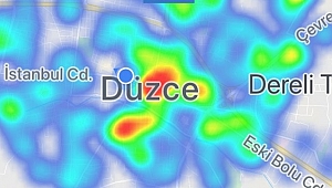 DÜZCE YEŞİLE DÖNÜYOR!