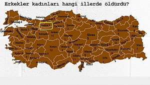 TÜRKİYE'NİN UTANÇ HARİTASINDA DÜZCE DE VAR