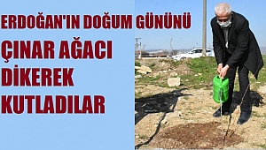 67. YAŞA 67 FİDAN