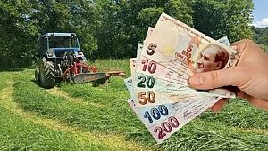 DÜZCE'DEKİ ÇİFTÇİLERE 2 MİLYON LİRAYA YAKIN DESTEK