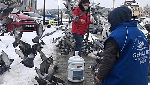 GÖNÜLLÜ GENÇLER SOKAK HAYVANLARINI UNUTMADI