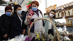 MERAL AKŞENER DÜZCE'YE GELDİ