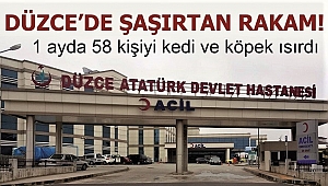 58 KİŞİ HAYVAN SALDIRISINDAN HASTANELİK OLDU