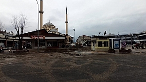 CEDİDİYE PROJESİ BAŞLADI, ASIRLIK AĞAÇLAR SÖKÜLDÜ