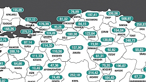 DÜZCE'DE CORONAVİRÜSTE ÜRKÜTEN RAKAMLAR