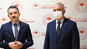 DÜZCE TARIMDA MARKA OLACAK
