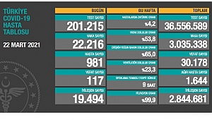 KORONADA TABLO VAHİM