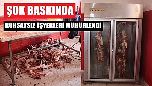 750 KG KAÇAK ET, 120 KG SAKATAT YAKALANDI