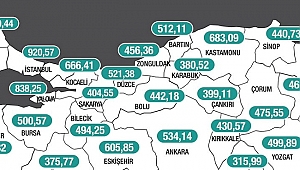 DÜZCE'DE VAKA SAYISI PATLADI, BATI KARADENİZ'DE BİRİNCİ OLDU