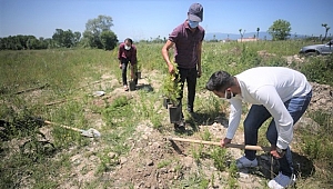 120 FİDAN, CEZAEVİNE GİRMEKTEN KURTARDI