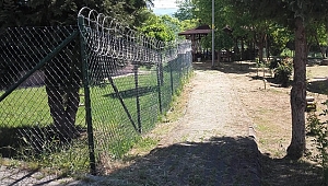 SOKAK HAYVANLARINA JİLETLİ ÖNLEM