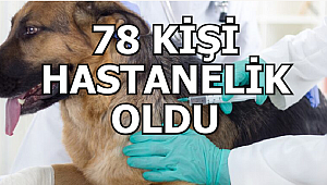 2 BİN 123 KÖPEK AŞILANDI