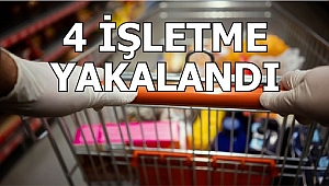 DENETÇİLER SAHADA