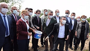 DÜZCE'DE BİR İLK: SİYAH PİRİNÇ