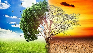 İKLİM DEĞİŞİKLİĞİ FELAKETİNİN EŞİĞİNDEYİZ