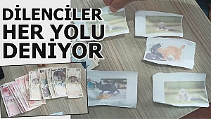 YOLDA SİZİ “KÖPEK MAMASI ALACAĞIM” DİYEREK DURDURANLARA İNANMAYIN